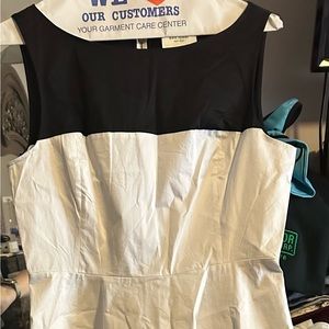 Kate spade fit and flare dress